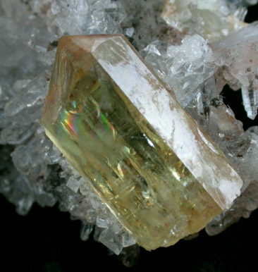 Fluorapatite in Quartz from Cerro de Mercado, Durango, Mexico