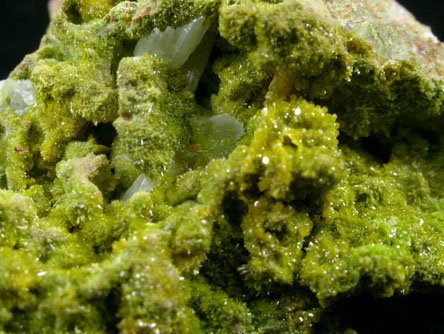 Pyromorphite with Cerussite from Belton Grain Vein, Wanlockhead, Scotland