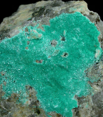 Chalcophyllite from Bavey's Lode, Wheal Gorland, St. Day, Cornwall, England