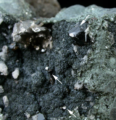 Cassiterite and Chlorite from Relistiam Mine, Gwinnear, Cornwall, England