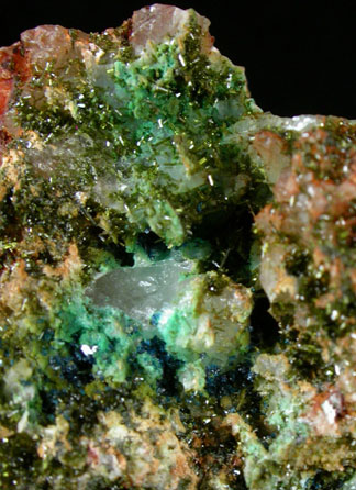 Clinoclase and Olivenite from Wheal Gorland, St. Day, Cornwall, England (Type Locality for Clinoclase)