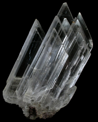 Gypsum var. Selenite from Naica District, Saucillo, Chihuahua, Mexico