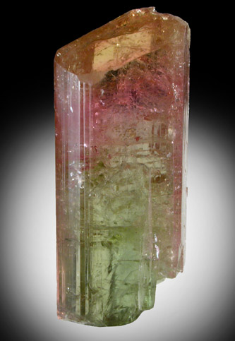 Elbaite Tourmaline (bi-colored crystal) from Minas Gerais, Brazil