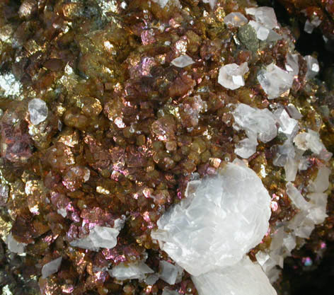 Siderite and Calcite from Northumberland, England