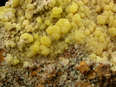 Mimetite from San Pedro Mine, San Pedro Corralitos, Chihuahua, Mexico