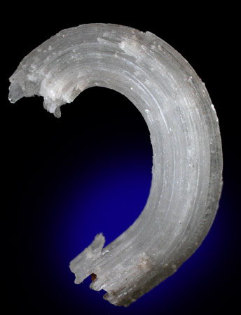 Gypsum var. Ram's Horn Selenite from Santa Eulalia District, Aquiles Serdn, Chihuahua, Mexico