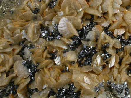 Siderite and Sphalerite var. Marmatite from Gilman Mining District, Eagle County, Colorado