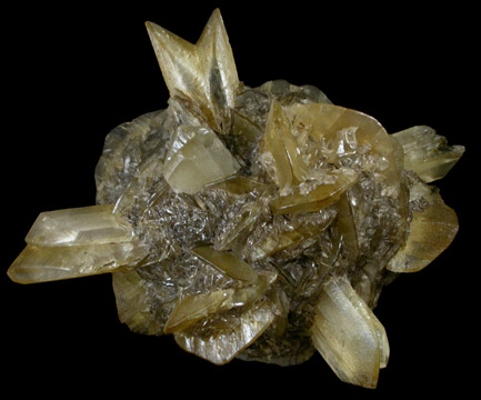 Gypsum from Red River Floodway, Winnipeg, Manitoba, Canada