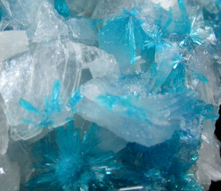 Cavansite on Stilbite from Wagholi Quarry, Maharashtra, India