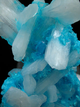 Cavansite on Stilbite from Wagholi Quarry, Maharashtra, India