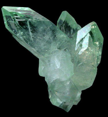 Apophyllite from Pashan Hill Quarry, Poona District, Maharashtra, India