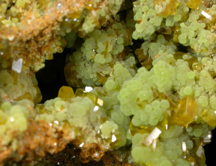 Mimetite and Wulfenite from Mina Ojuela, Mapimi, Durango, Mexico