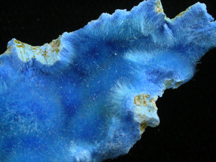 Cyanotrichite from Grandview Mine, Coconino County, Arizona