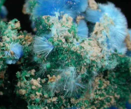 Cyanotrichite and Brochantite from Grandview Mine, Coconino County, Arizona