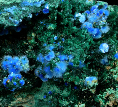 Cyanotrichite and Brochantite from Grandview Mine, Coconino County, Arizona