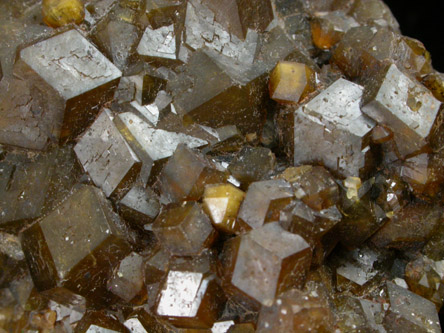 Andradite Garnet from Stanley Butte, San Carlos Indian Reservation, Graham County, Arizona