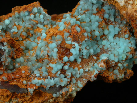 Chalcoalumite from Grandview Mine, Coconino County, Arizona