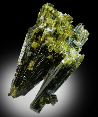 Epidote (unusual jackstraw-habit) from Green Monster Mountain-Copper Mountain area, south of Sulzer, Prince of Wales Island, Alaska