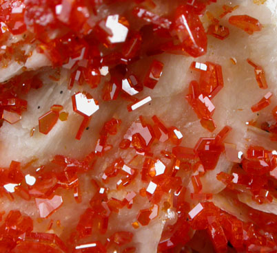 Vanadinite on Barite from Mibladen, Haute Moulouya Basin, Zeida-Aouli-Mibladen belt, Midelt Province, Morocco