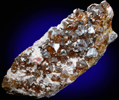 Sphalerite and Rhodochrosite from Manuelita Mine, Morococha District, Yauli Province, Peru