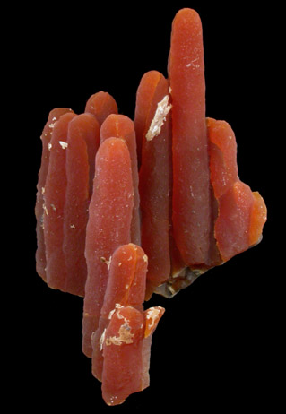 Calcite (stalactitic) from Bud Ehrle Locality, near Miles City, Carter County, Montana