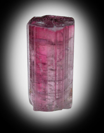 Elbaite var. Rubellite Tourmaline from Minas Gerais, Brazil