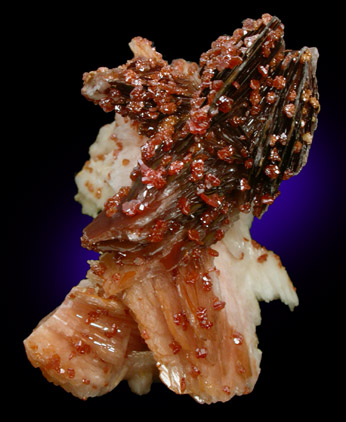 Vanadinite on Barite from Mibladen, Haute Moulouya Basin, Zeida-Aouli-Mibladen belt, Midelt Province, Morocco