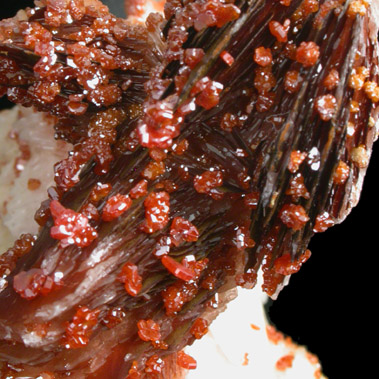 Vanadinite on Barite from Mibladen, Haute Moulouya Basin, Zeida-Aouli-Mibladen belt, Midelt Province, Morocco