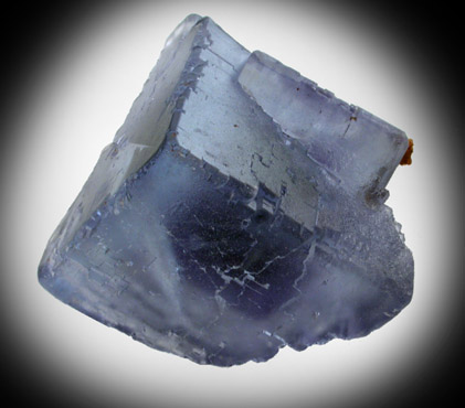 Fluorite from Mina La Viesca, Huergo, La Collada, Siero, Asturias, Spain