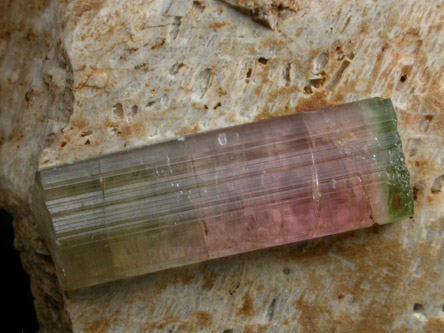 Elbaite Tourmaline from Himalaya Mine, Mesa Grande District, San Diego County, California