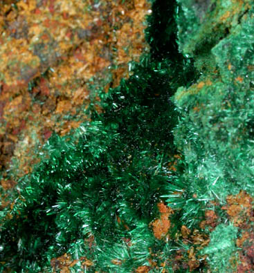 Malachite from Zacatecas, Mexico