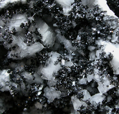 Magnetite with Dolomite from New Idria District, San Benito County, California