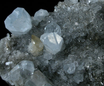 Celestine from Scofield Quarry, Maybee, Monroe County, Michigan