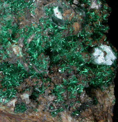 Malachite from Lavrion (Laurium) Mining District, Attica Peninsula, Greece