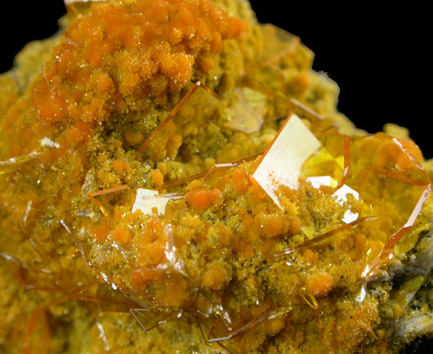 Wulfenite with Mimetite from 4.8 km north of the San Pedro Mine, San Pedro Corralitos, Nuevo Casa Grandes, Chihuahua, Mexico