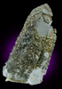 Pyrite on Quartz from Idarado Mine, Ouray District, Ouray County, Colorado