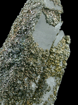 Pyrite on Quartz from Idarado Mine, Ouray District, Ouray County, Colorado