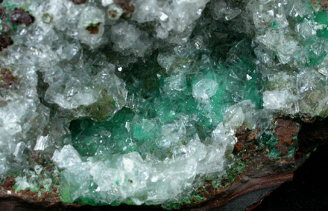 Conichalcite on Conichalcite from Mina Ojuela, Mapimi, Durango, Mexico