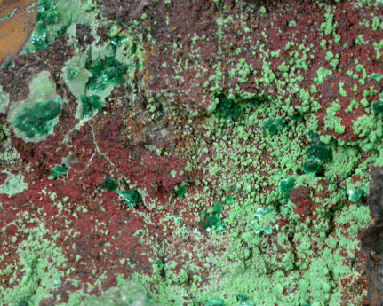 Conichalcite on Conichalcite from Mina Ojuela, Mapimi, Durango, Mexico