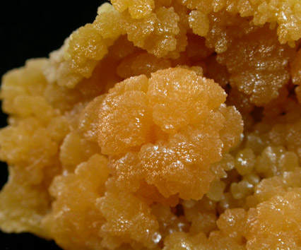 Mimetite from San Antonio Mine, Santa Eulalia District, Aqulies Serdan, Chihuahua, Mexico