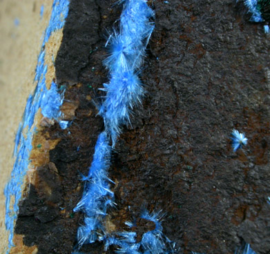 Cyanotrichite from Mina Vieja, Potrerillos, Atacama, Chile