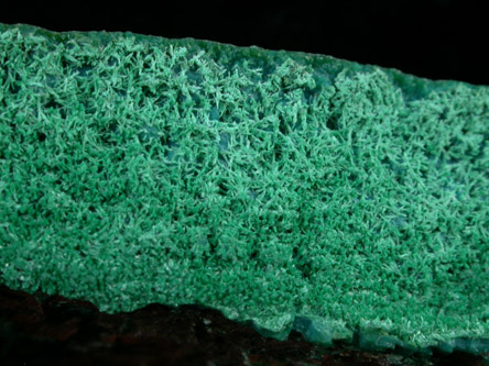 Brochantite from Mina Vieja, Potrerillos, Atacama, Chile