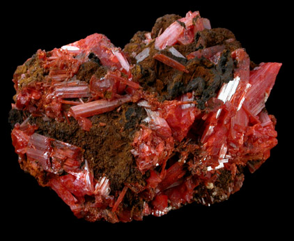 Crocoite from Dundas, Tasmania, Australia