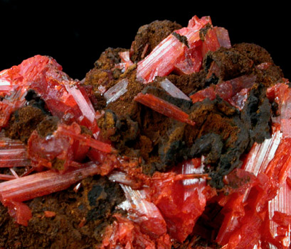 Crocoite from Dundas, Tasmania, Australia