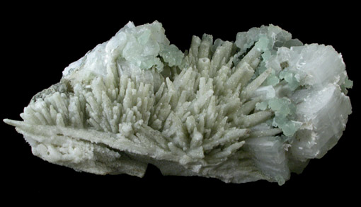 Datolite pseudomorphs after Glauberite with Apophyllite and Prehnite from Prospect Park Quarry, Prospect Park, Passaic County, New Jersey