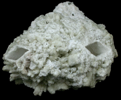 Datolite pseudomorphs after Glauberite from Prospect Park Quarry, Prospect Park, Passaic County, New Jersey