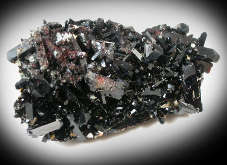 Neptunite from Benitoite Gem Mine, San Benito County, California