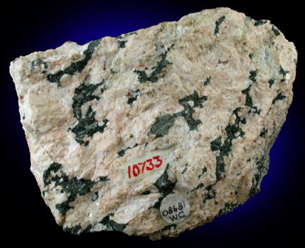 Clinochlore var. Prochlorite on Orthoclase from Manhattan Island, New York City, New York