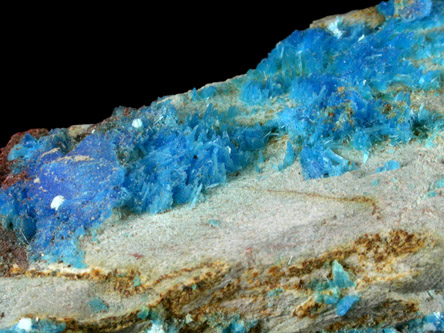 Chalcanthite from Gila County, Arizona