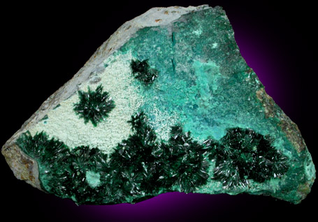 Atacamite with Halloysite and Chrysocolla from Mina la Farola, Copiapo, Atacama Desert, Chile (Type Locality for Atacamite)